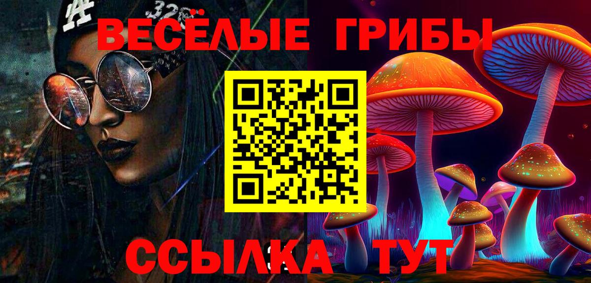 Заволжье  Псилоцибиновые грибы прущие грибы  Галлюциногенные грибы мицелий  Вход с VPN 